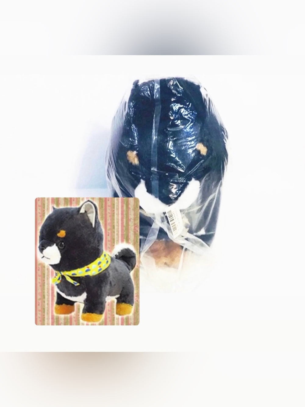 Mameshiba Brothers Japanese Big Gathering Plush